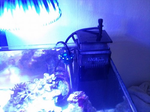 2011-04-13 13.25.06 (1).jpg