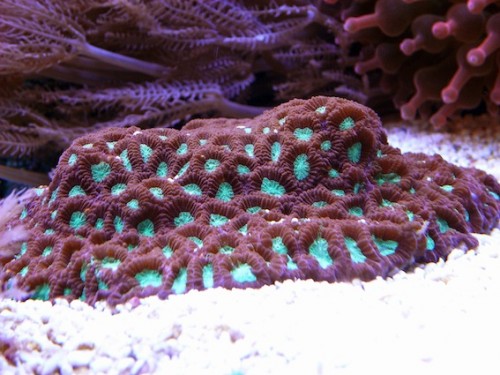RIMG0013.jpg