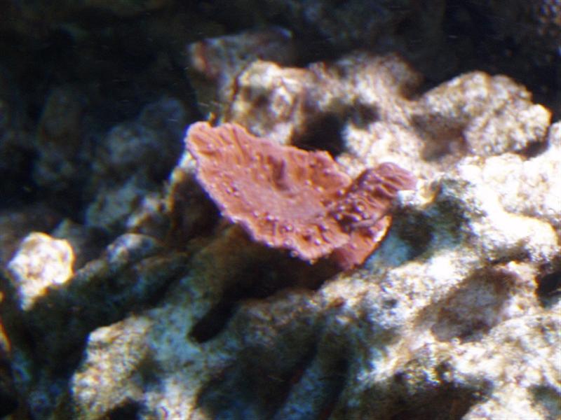 PB180006 (Medium).JPG