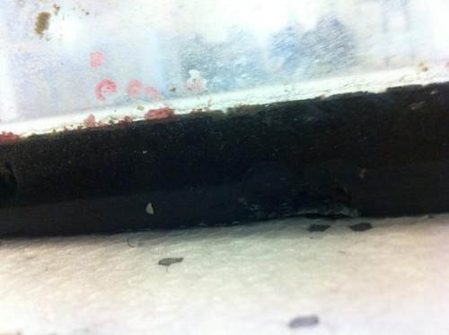 forsiden ca midt forneden