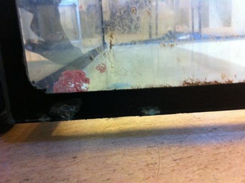 foran nederst højre hjørne