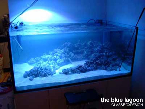 bluelagoon4.jpg