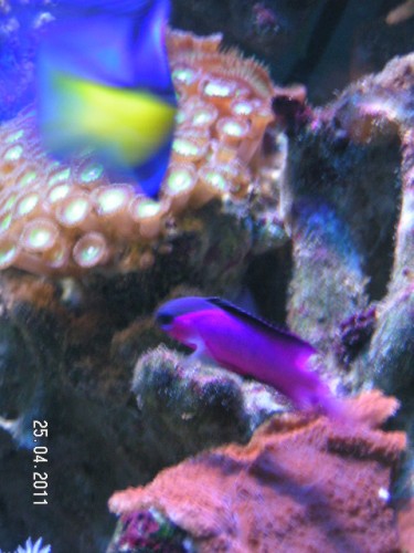 PICT3722.JPG