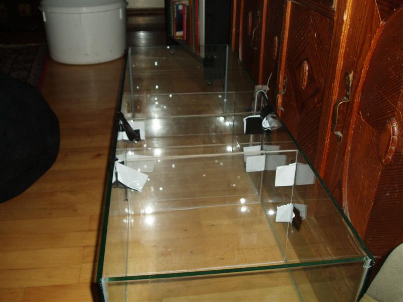 PB190040 (Medium).JPG