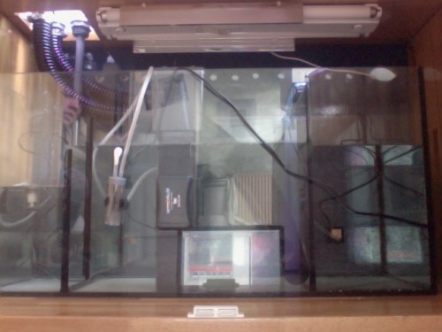 Foto den 07-05-2011 kl. 16.03 #2.jpg