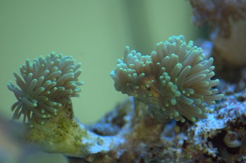 DSC_0192.jpg