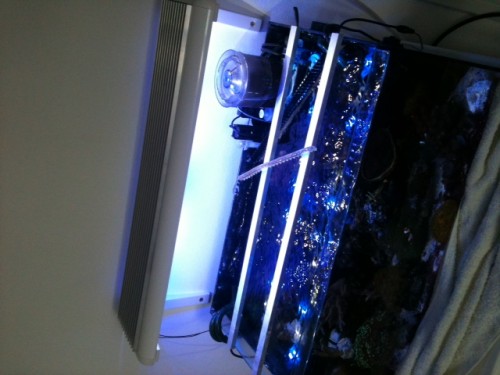 LED over akvariet.JPG