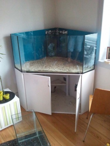 2011-05-16 15.35.34.jpg