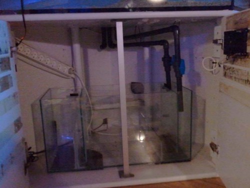 2011-05-17 21.46.35.jpg