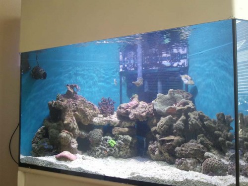 2011-05-21 16.34.37.jpg