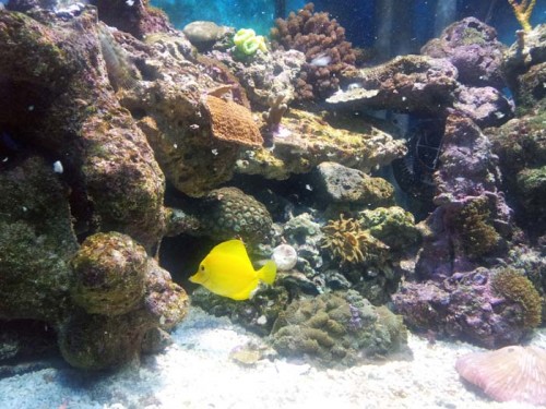 2011-05-27 23.15.12.jpg