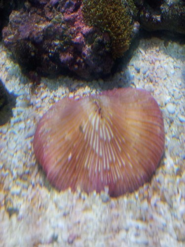 2011-05-27 23.16.21.jpg
