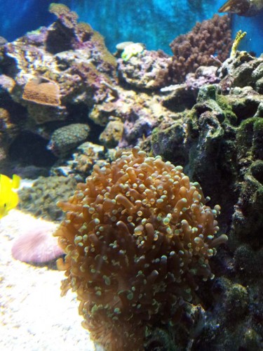 2011-05-29 17.21.12.jpg