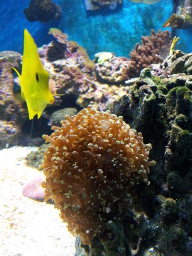 2011-05-29 17.21.28.jpg