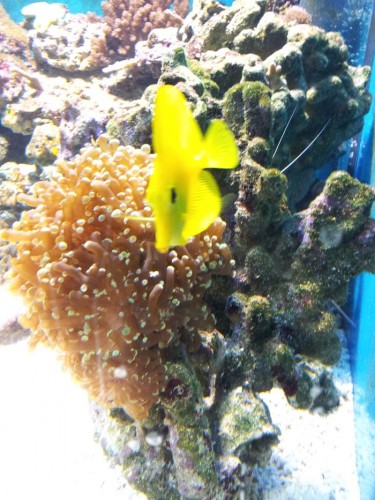 2011-05-29 17.21.35.jpg
