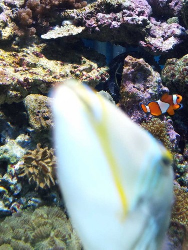 2011-05-29 17.23.37.jpg