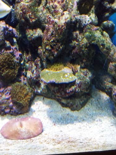 2011-05-29 17.24.10.jpg