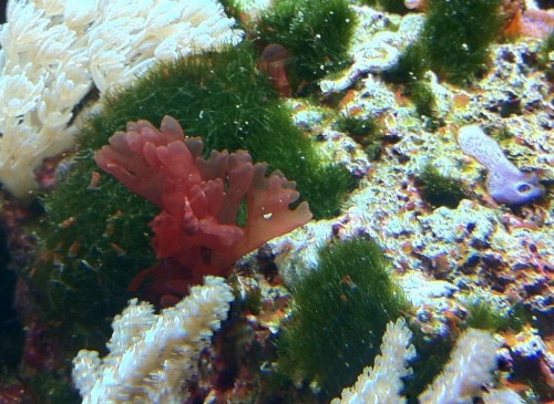 Photo jun. 05, 15 44 28.jpg