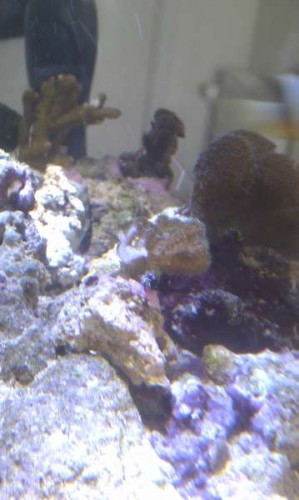 IMAG0356.jpg
