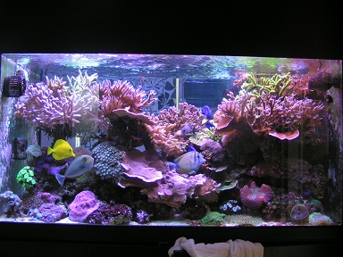 PICT0207.JPG