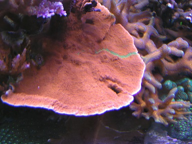 PICT0211.JPG
