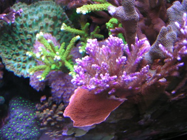 PICT0212.JPG