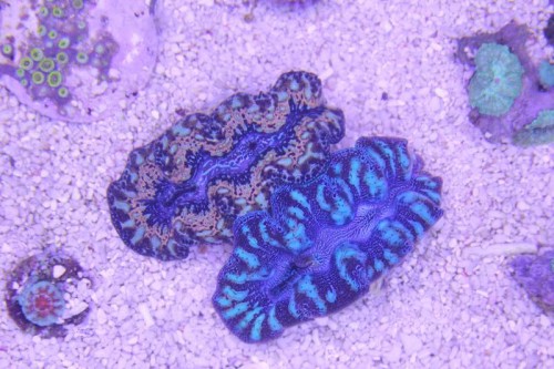 IMG_0617.JPG