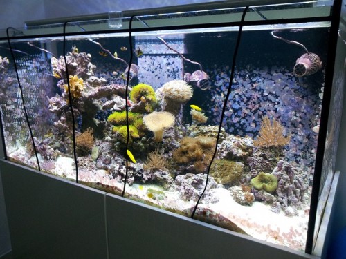 2011-06-23 16.21.41 [DVD (PAL)].jpg
