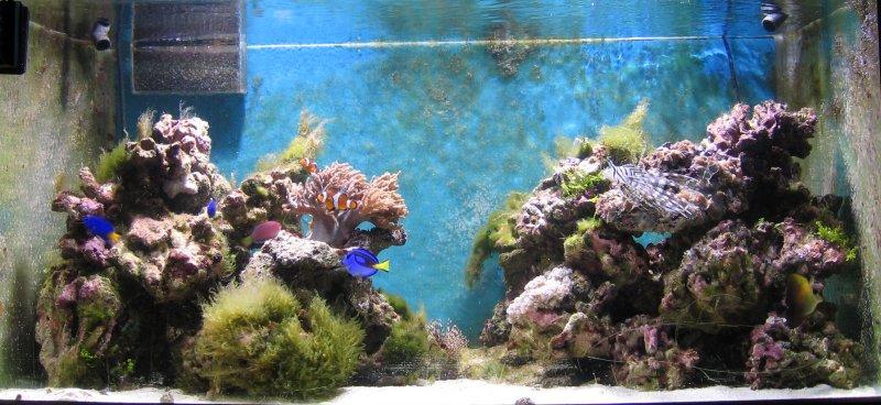 now_061125.jpg