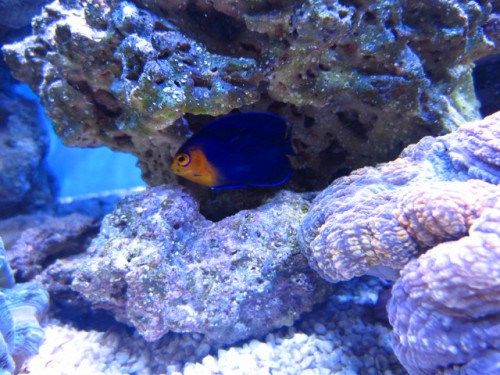 IMG_0020.JPG