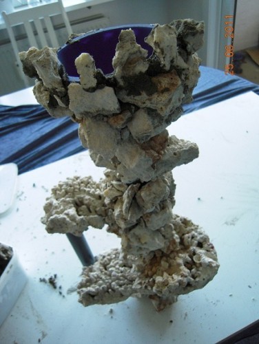 DSCN2259.JPG