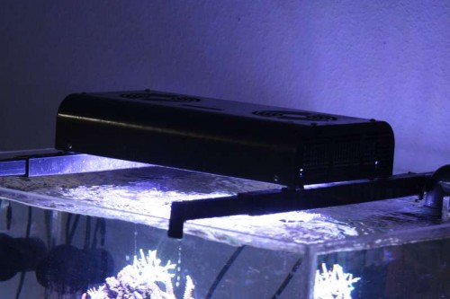 Lampe
