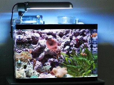 Nano1 (400 x 300).jpg