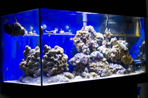 IMG_3905.jpg (50.36 KiB) Vist 1308 gange FTS