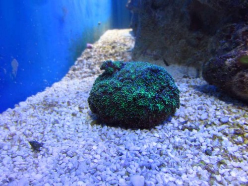 IMG_0118.JPG