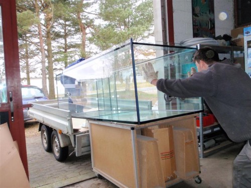 Den nye tank 057 (Medium).jpg