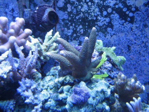 IMG_5985.JPG