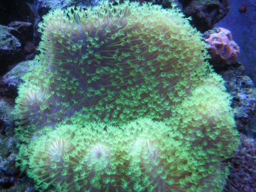 IMG_5977.JPG