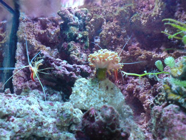 DSC00640 (Small).JPG