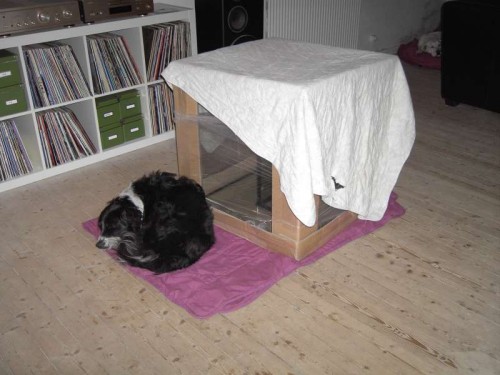 cube2 001.JPG