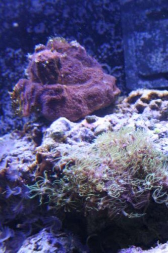 IMG_9567.jpg