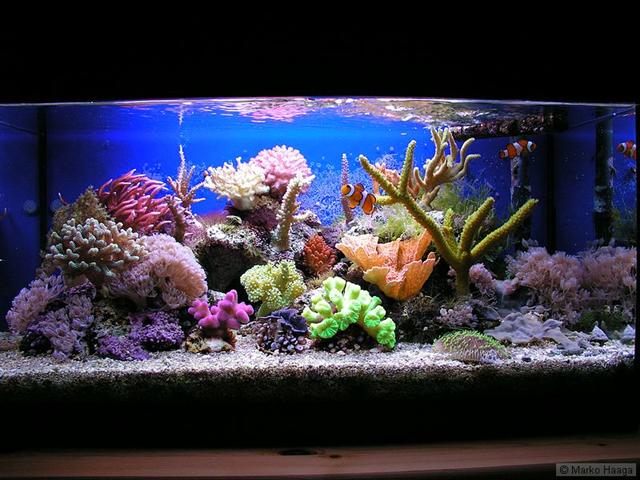 p9250494_std (Small).jpg