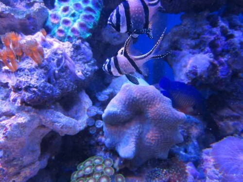IMG_0141.JPG