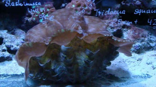 DSC03274.JPG