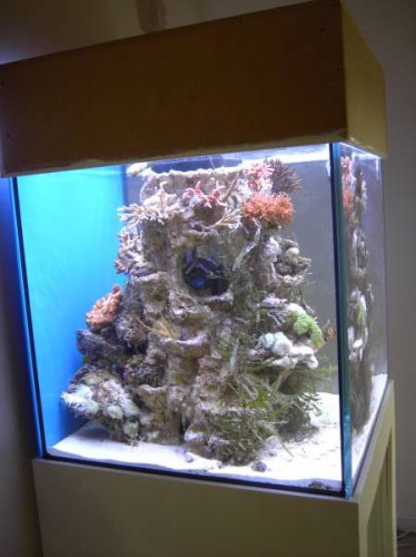 akv 4 002.JPG