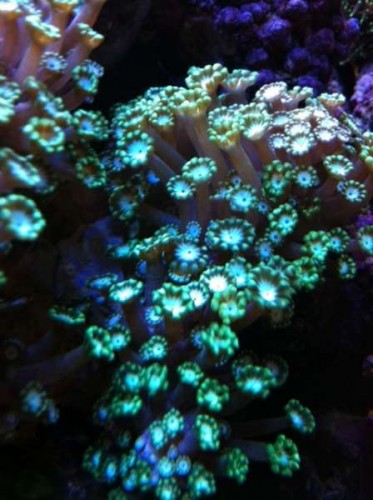 foto13.JPG
