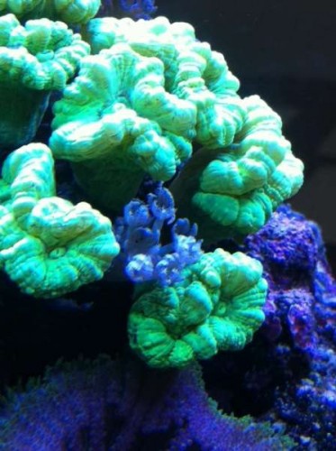 foto12.JPG