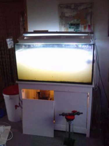 Akvariet lige stillet op