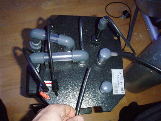 PC063174 (Small).JPG