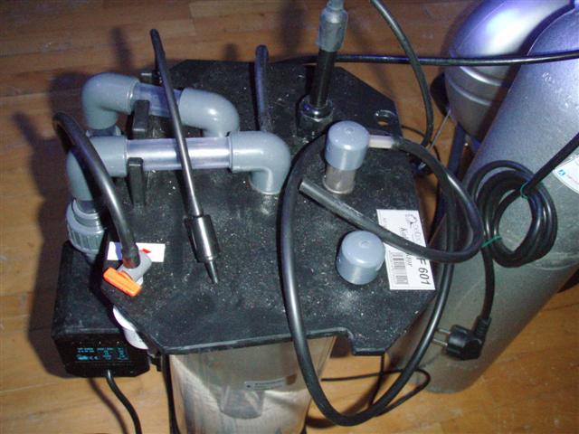 PC063171 (Small).JPG